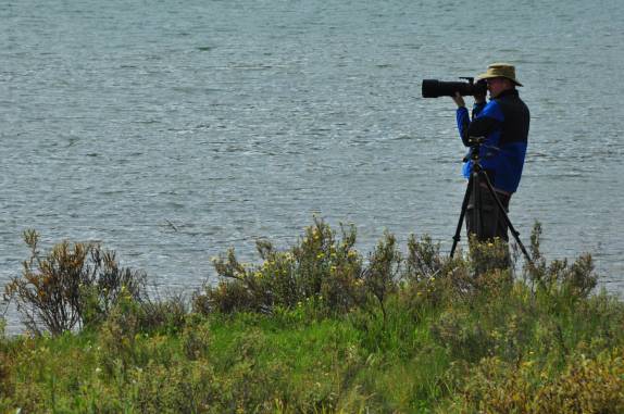 Tirando boas fotos de alce no Maligne Lake, no Jasper National Park, em Alberta, no Canadá